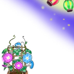 夏祭り、夜、提灯、ライト、朝顔、花、夏、青、紫、ピンク