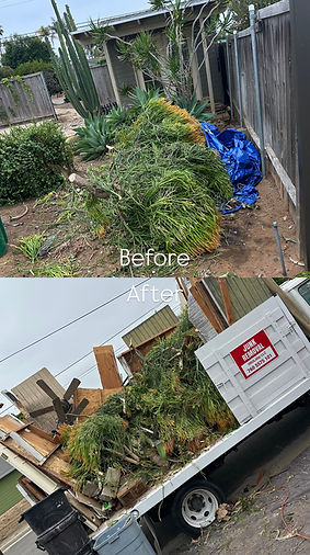 before and after junk removal