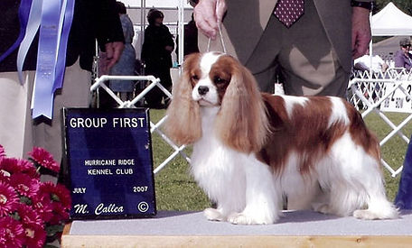 sidney group first