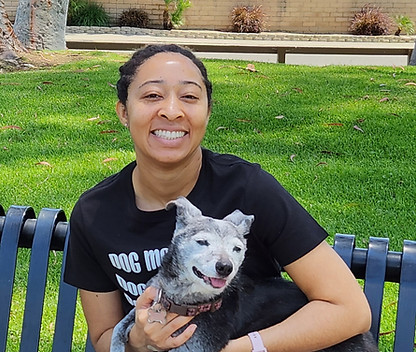 pet sitter dog walker