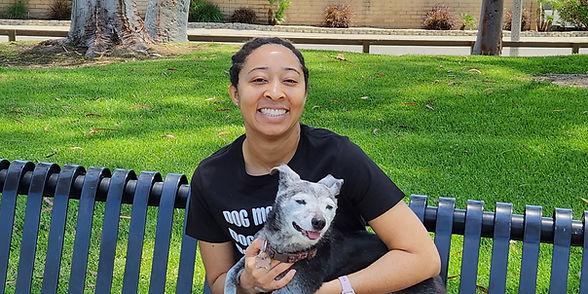 pet sitter dog walker