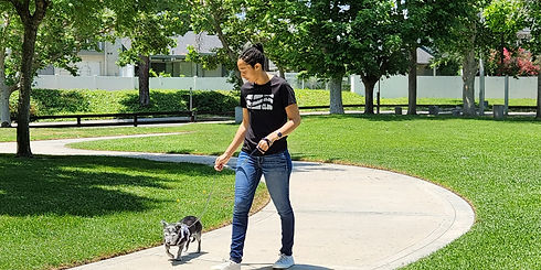 pet sitter dog walker