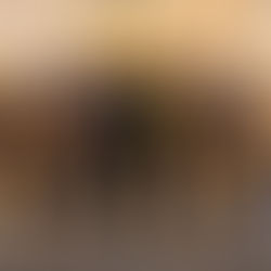 Kanzlei Kaufmann wird Sponsor der Beaverettes!