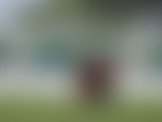 チャレンジャートーナメント名古屋大会の試合結果報告🏉