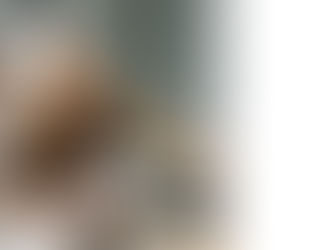 Couple looking at the paperwork to get their business funded