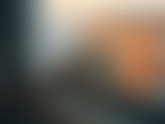 The Love Bird Symbol of Love: Where the Meaning of Eternal Love Comes From