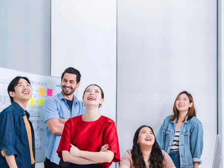 Portfolio Careers Program