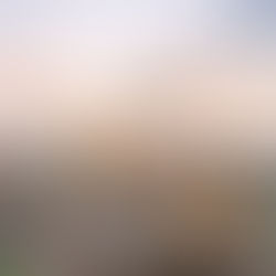 Move to Bangkok 2026