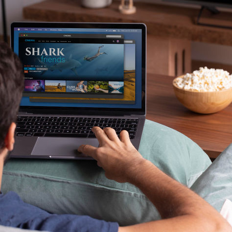 Movies on Netflix top 5 picks