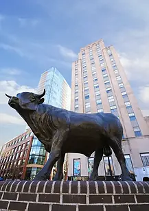 durham-nc-usa-bull-sculpture-heart-downtown-303888826.webp
