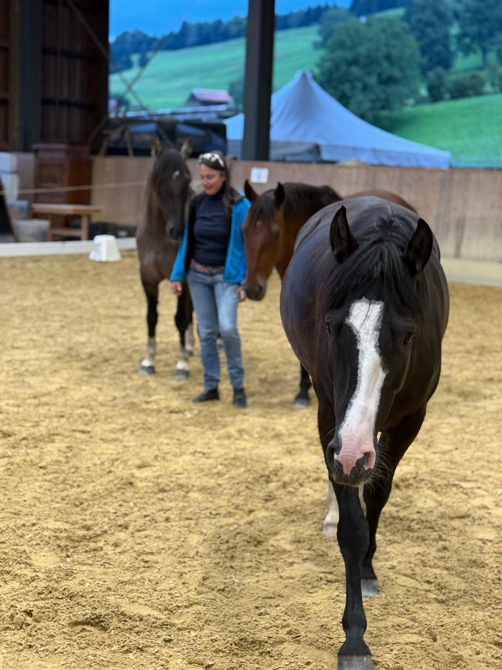 Faszien & tensegrales Training - Vertiefung bei Nirina