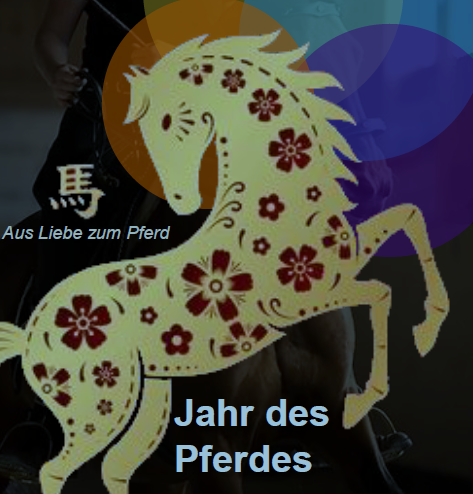 Lucy's Pferdetag & Sommernachtsparty 26