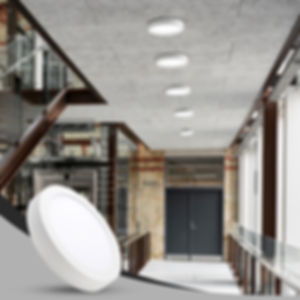 Round Surface Downlight