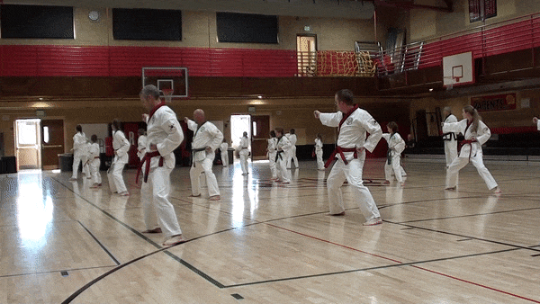 Hand Techniques2-gif.gif