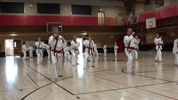 Hand and Kick3-gif.gif