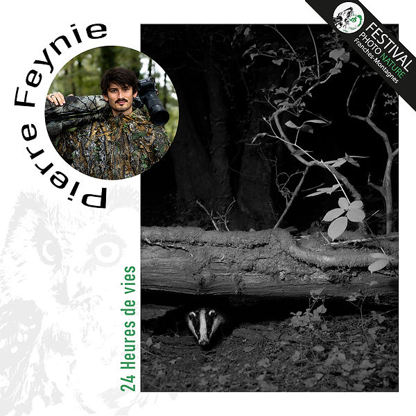 Pierre Feynie_Présentation Reseaux sociaux.jpg