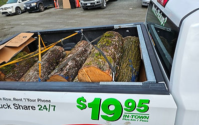 Truck loaded maple and oak heavy.jpg