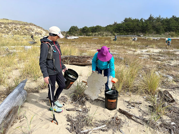 Beach Cleanup hosted by Siuslaw National Forest