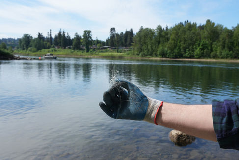 Waterway Cleanup Series helps to remove litter and debris from rivers, creeks and streams.