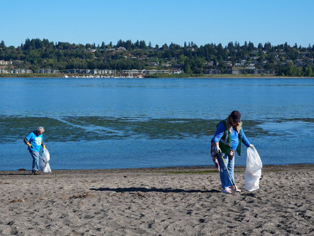 Communities Unite for a Cleaner Future: Results from the Annual Beach & Riverside Cleanup