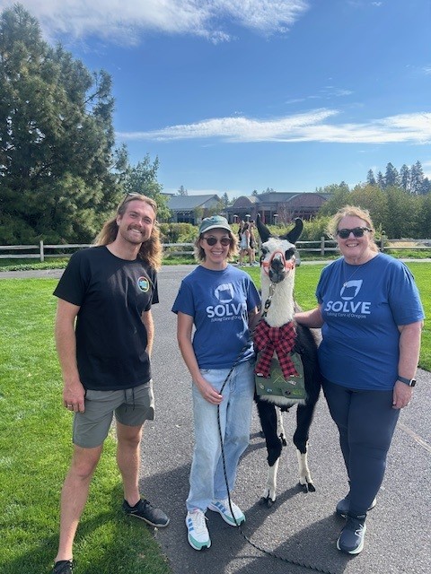 Alpaca cameo at SOLVE's inaugural Pick It Up, Bend!