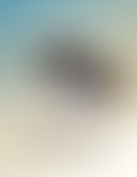 SOLVE and Mike Bennett Studios partner for Martin Luther King Jr. Day 2026