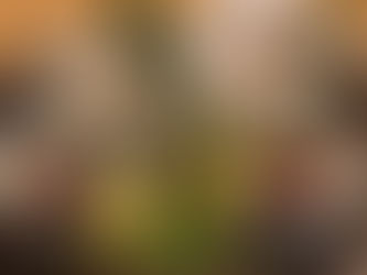 本日お席余裕ございます😄