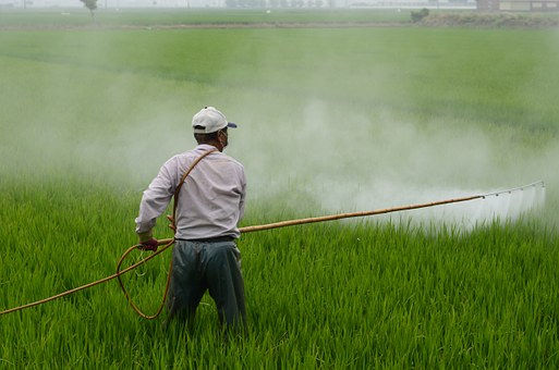 De janeiro a outubro de 2020, 15 mortes foram registradas por intoxicação com pesticidas, aponta SSP