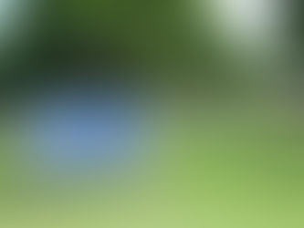 Inscrições para o vestibular da UFS Campus Sertão iniciam hoje (26)
