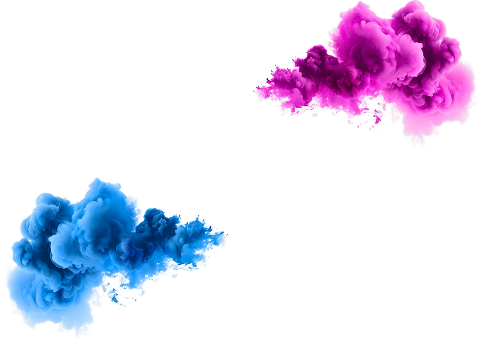 Volantino Orizzontale Nero Bianco Violino Concerto Musica Classica.png