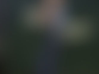 What to expect from your first pole sesh