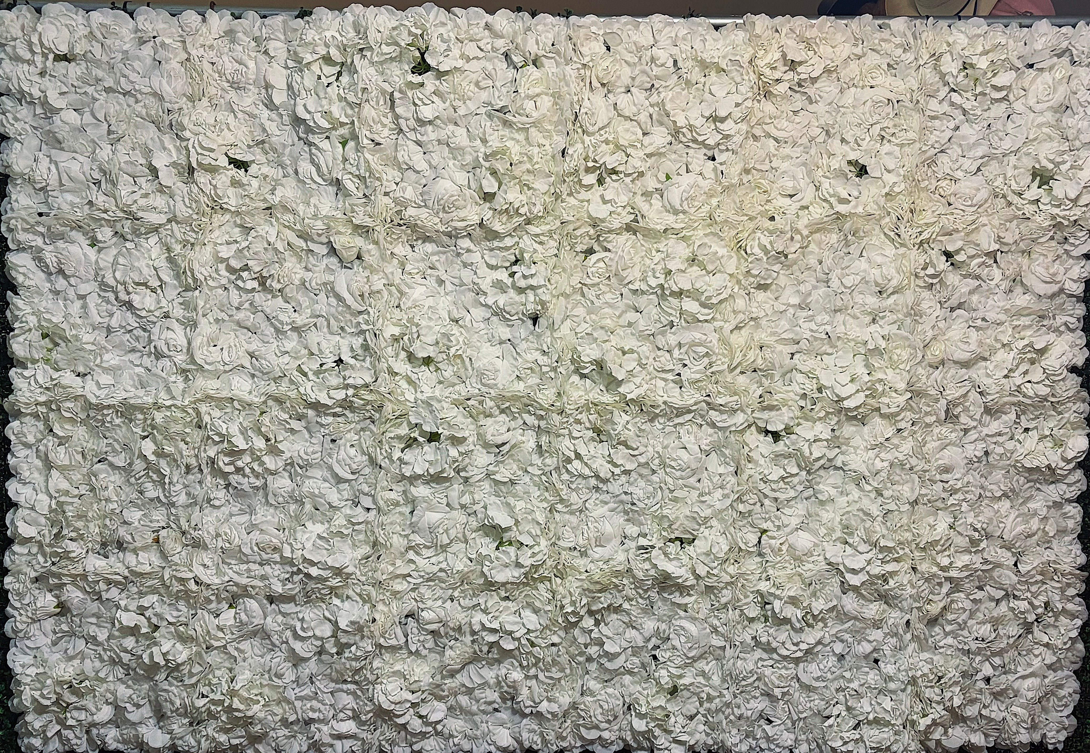 White Rose Backdrop Rental