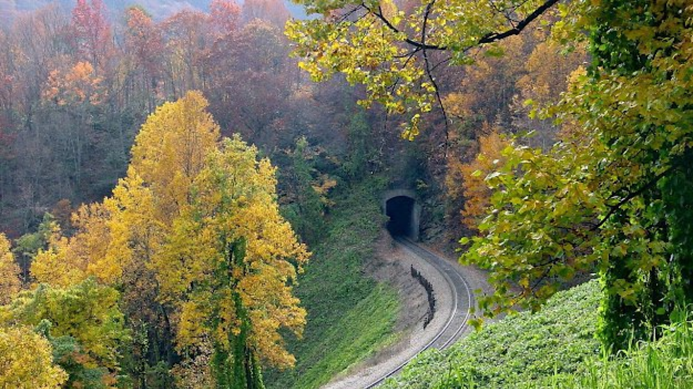 Old Fort Tunnel near Black Mountain, showing leaf changes during the dall