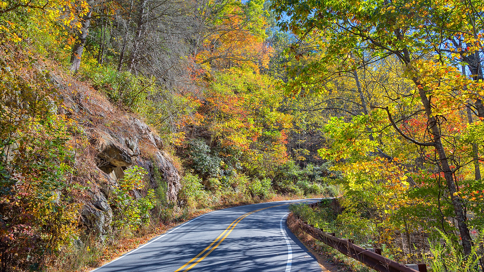 Open road in Western North Carolina near the Blue Ridge Parkway, during peak leaf season in Asheville and Black Mountain.