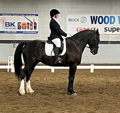 Pizzaz dressage show.jpg