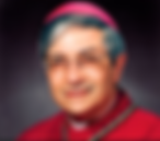 bishop_salvatore_matano.png