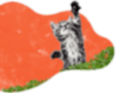 inner_services_cat (1).png