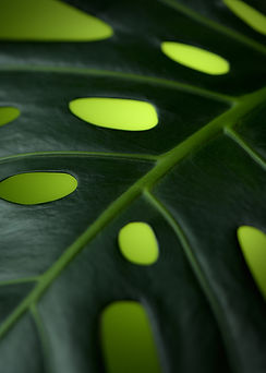 Productphotography cosmetics, cosmetics, cosmetics photography, stilllife