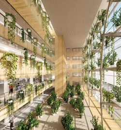 Pers Atrium haut