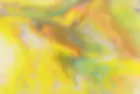 700937121.735677_1712510113.webp