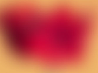 室內蜜蜂，準備執勤 🐝🌺