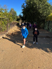 IMG_2737 3.jpeg
