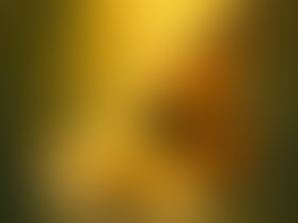 🌿 蟲蟲的生命故事——也是我們的故事|🌿 A Bug’s Life — and Ours ...