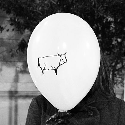 archivos  2023 600 x600 Globeza 13