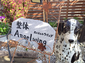 整体Angelwing 奈良でらせん零整体を体験!