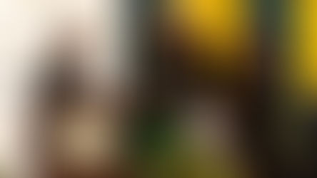 Stefanie Lachenauer Named 2024 New Jersey State Teacher of the Year