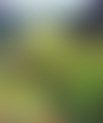 Nancy Herrington’s Art Honors Nature & Civil Rights