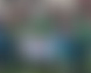 From Electrifying Friday-Night Shows to Top-Ranked Marching Band in NJ