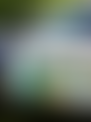 The Montgomery Police Department Works to Keep MHS Students and the Community Safe