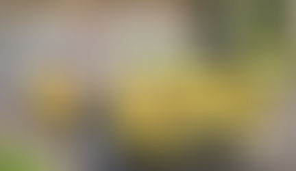 Restoring Old Cars Is His Passion